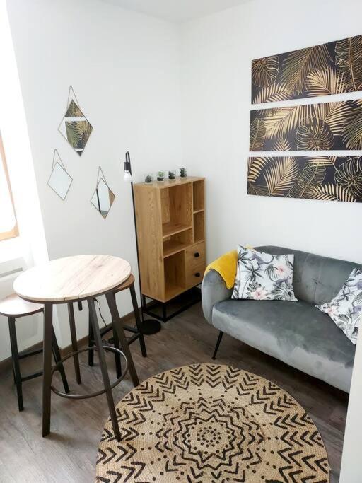 T2 Cosy Vieux Montlucon Apartment ภายนอก รูปภาพ